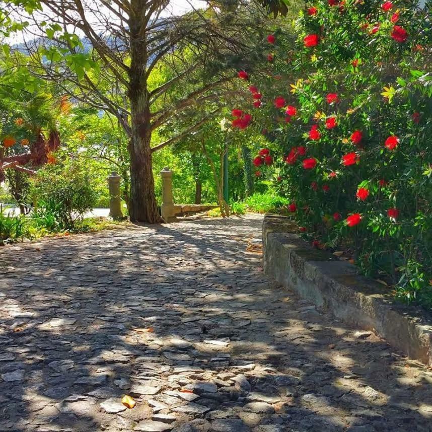 לינה וארוחת בוקר Baião Quinta Da Ermida - Turismo De Habitacao מראה חיצוני תמונה